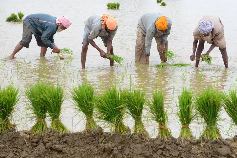 Farming